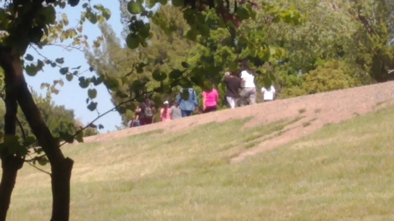 Illegal Alien's?