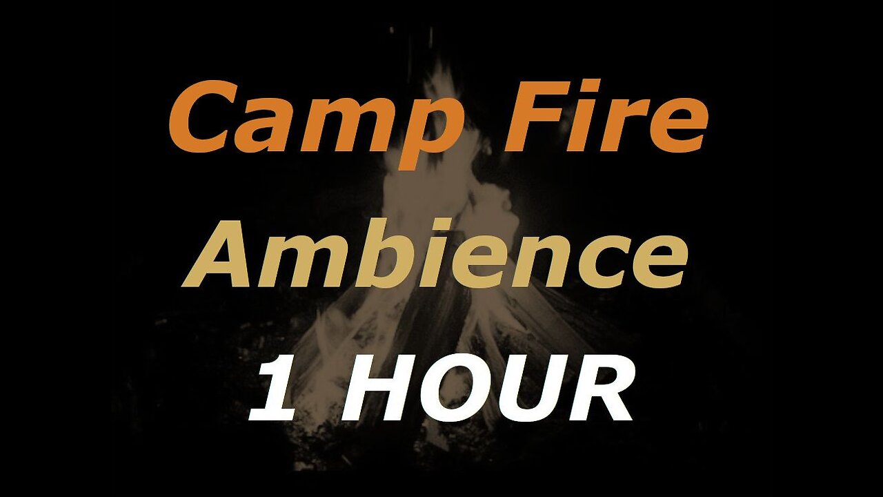 Camp Fire Night Ambience