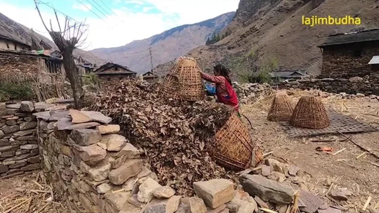 Constructing a huge compost pile with dry leaves in Nepal