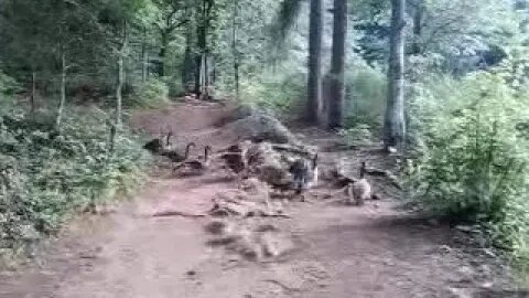 In their way