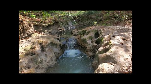 Fern Trail Waterfall - Winter 2022