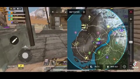 0 deaths battle royal