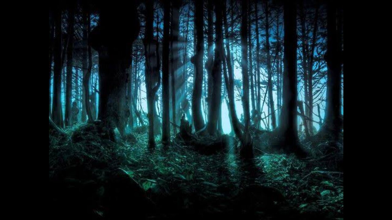 The Screaming Woods #CreepyPasta