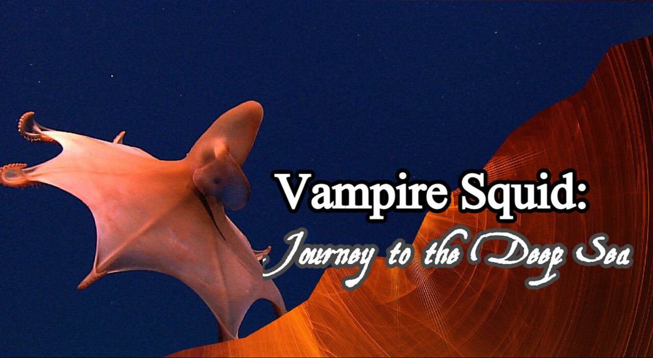 Vampire Squid: Journey to the Deep Sea