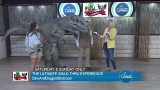 The Ultimate Walk-Thru Experience // Dino & Dragon Stroll