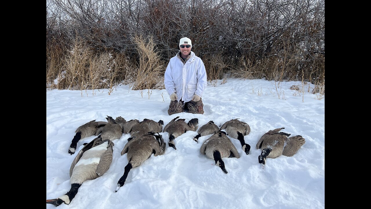 Late Goose Hunts