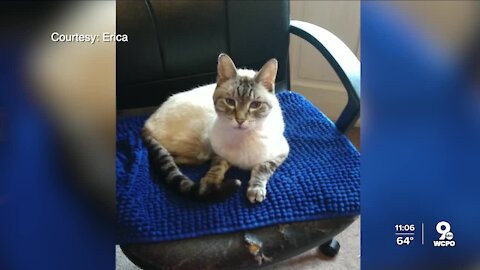 Neighbors want changes after several pets killed by dangerous dogs in Lindenwald