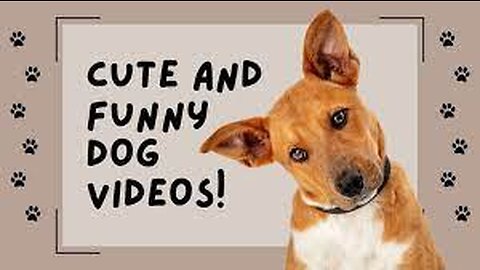 ♥Cute Puppies Doing Funny Things 2021♥ #10 Cutest Dogs