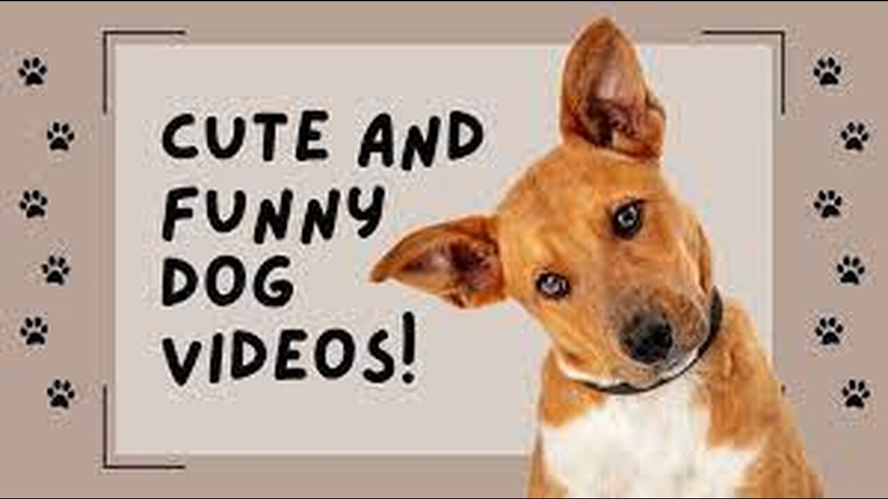 ♥Cute Puppies Doing Funny Things 2021♥ #10 Cutest Dogs