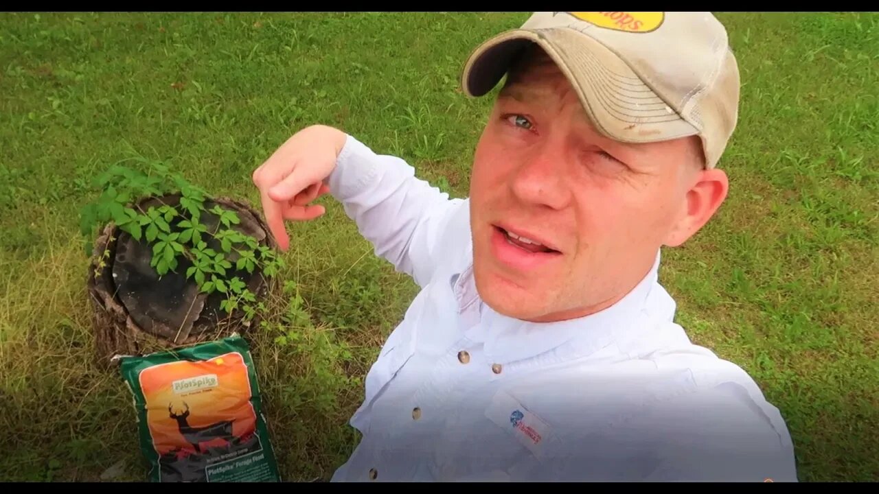 Poor man's Late Season Food Plots