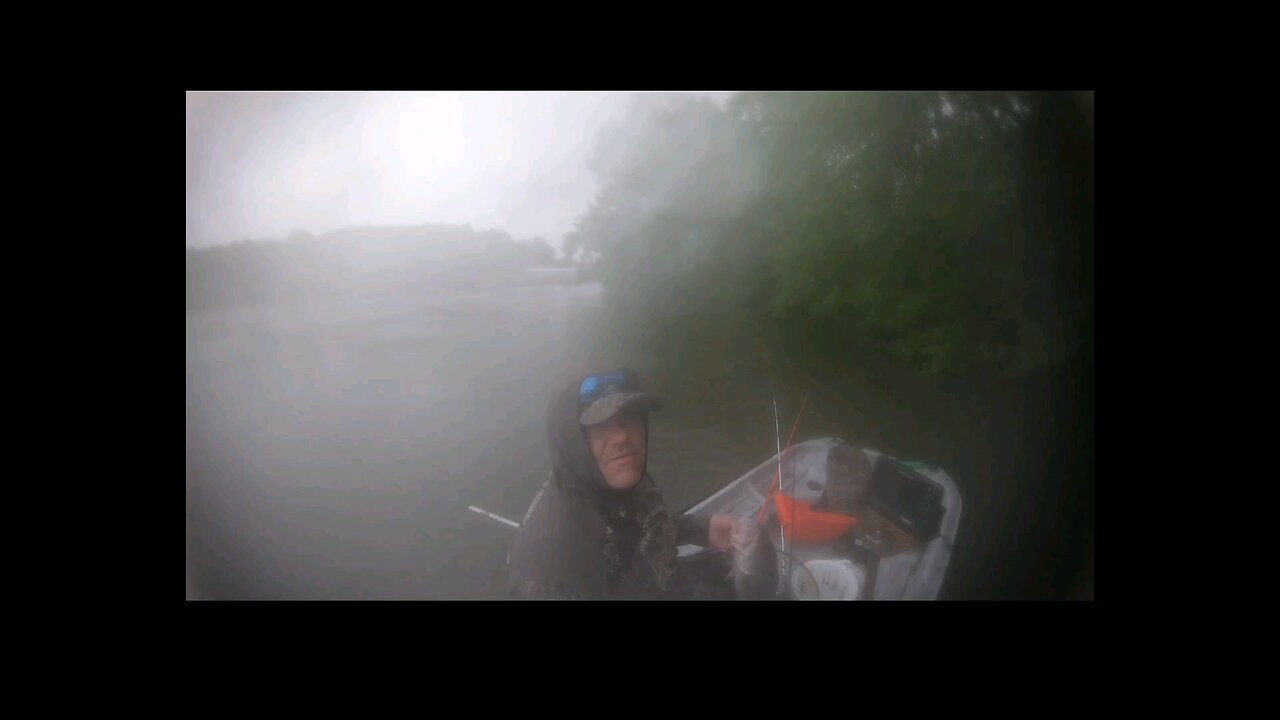 kayak Kings