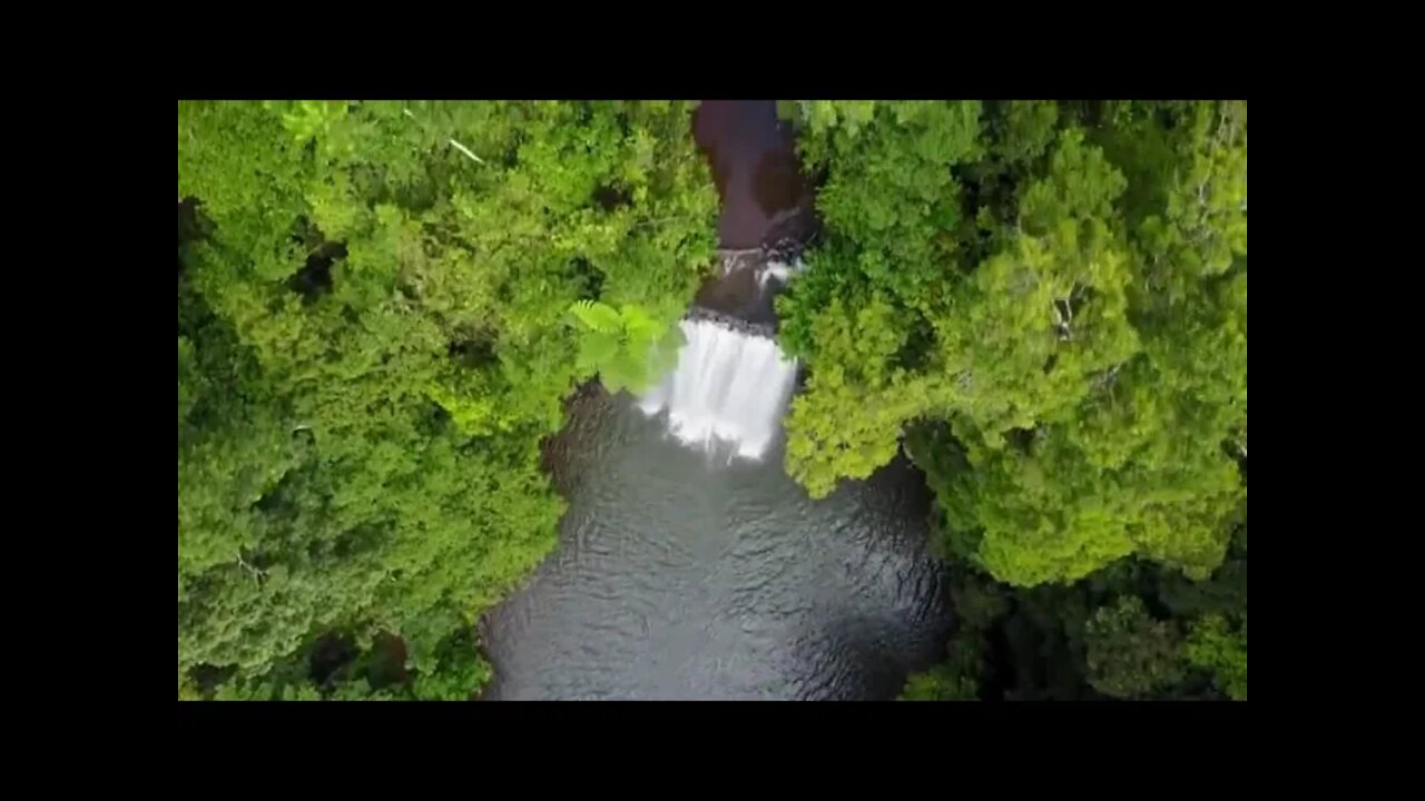 Beautiful Relaxing Music for Stress Relief Calming Music Meditation, Relaxation, Sleep,