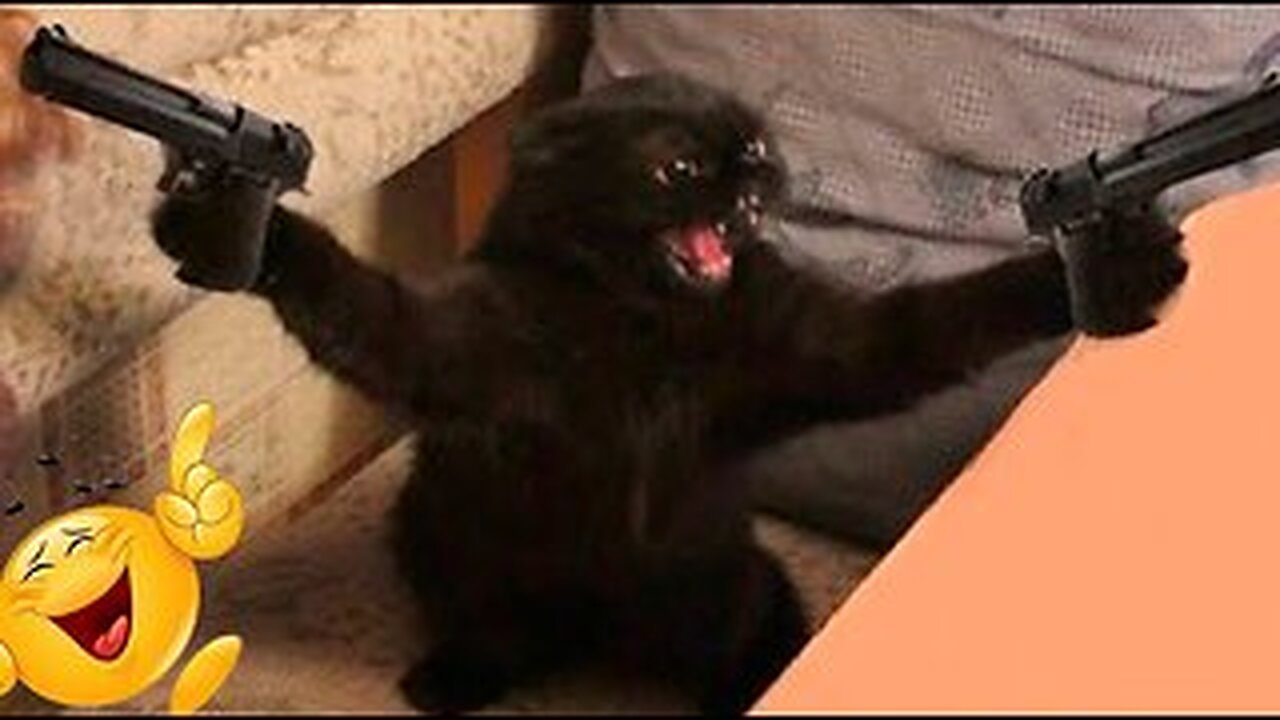 Best Funniest Animals Video #2