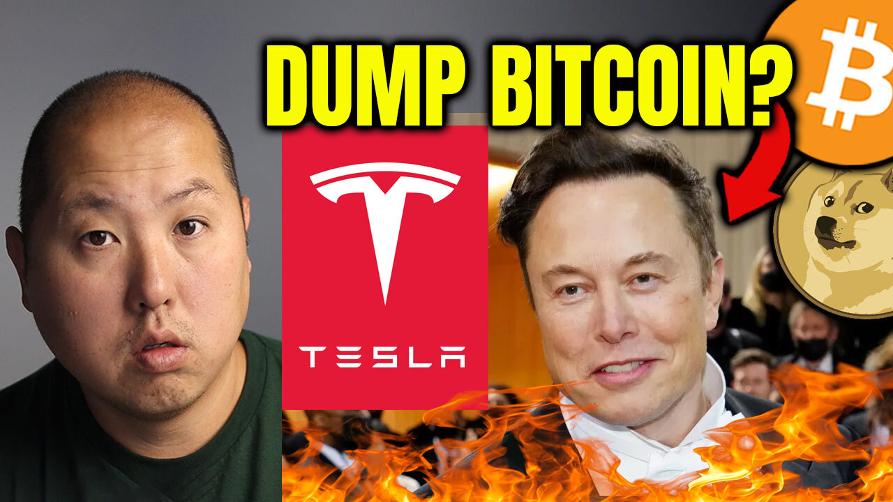 Tesla Stock Sinks to a New Low...Will Elon Dump Bitcoin Next?