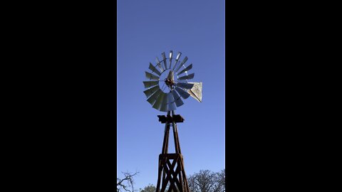 Almond Ranch Windmill