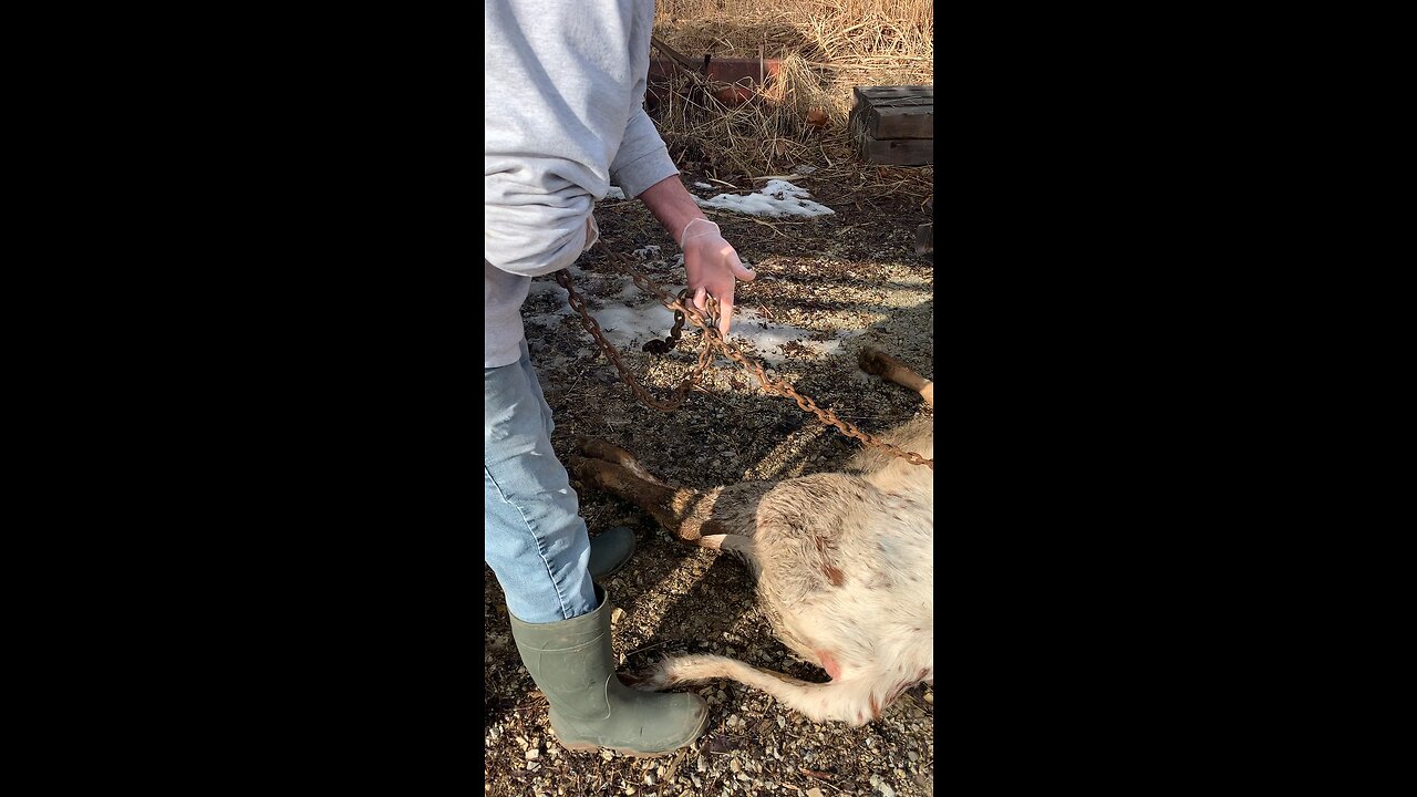 We harvest our own food ￼