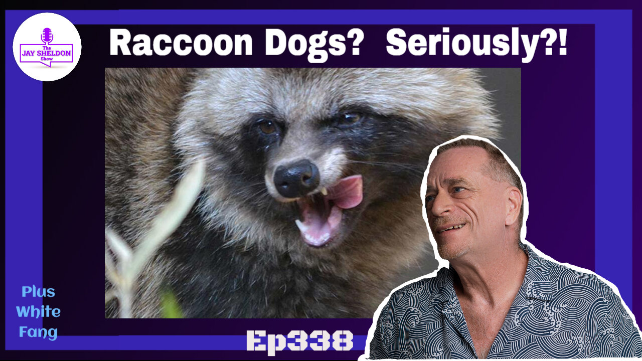 Raccoon Dogs? Seriously?!