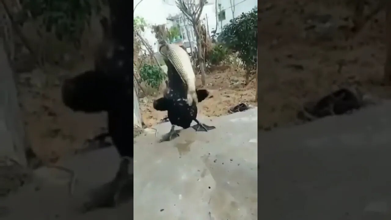 eating 2