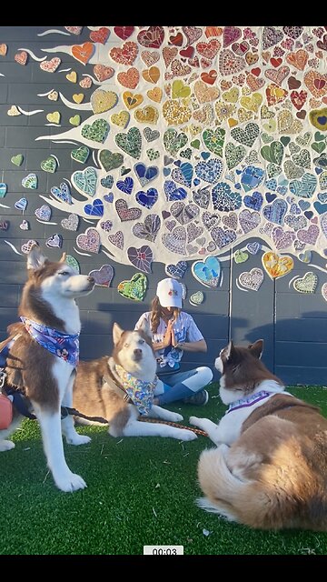 ✨𝐌𝐨𝐫𝐧𝐢𝐧𝐠 𝐌𝐞𝐝𝐢𝐭𝐚𝐭𝐢𝐨𝐧🧘‍♀️