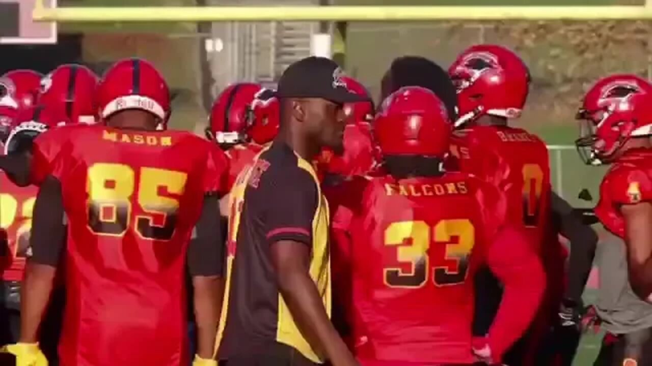 falcon ball baby now gorilla