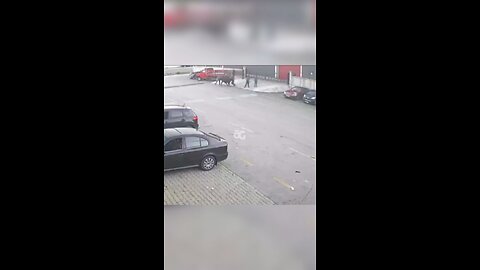 Erzurum'da boğanın kaçışı film sahnelerini aratmadı