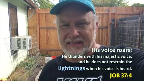 Vine & Container UPDATE 08-06-2017 - Jonathan Kleck