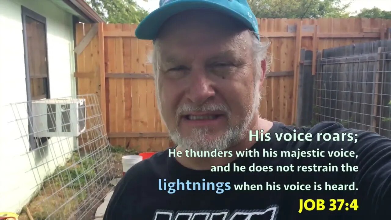 Vine & Container UPDATE 08-06-2017 - Jonathan Kleck