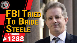 FBI Tried To Bribe Steele | Nick Di Paolo Show #1288