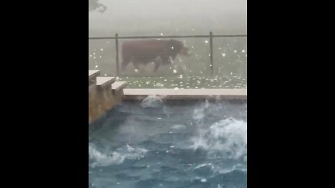 Gigantic Hailstones Fall Near Dublin, Texas