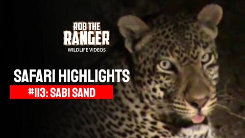 Safari Highlights #113: 13 - 15 Sep 2011 | Sabi Sand Nature Reserve | Latest Wildlife Sightings