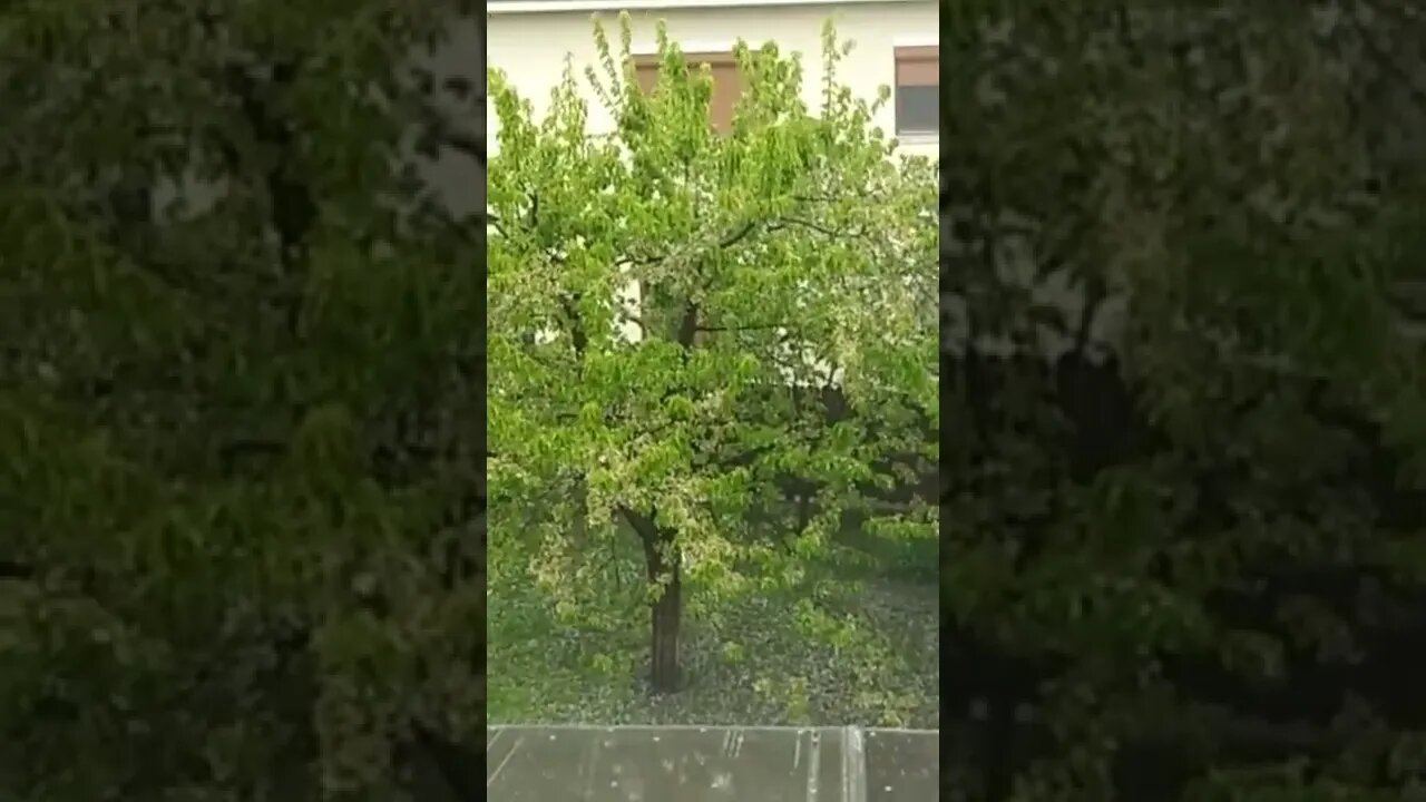 Day of rain #romania #cluj