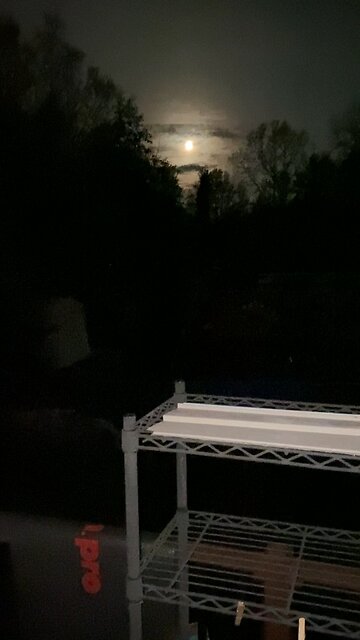 Good morning Anchorage