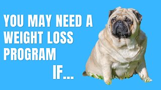 You May Need A Weight Loss Program If... #shorts