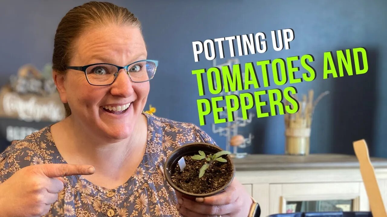 How and When to Pot Up Seedlings