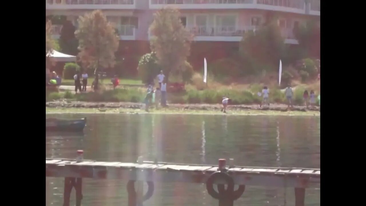 Coast cleaning by students and teachers