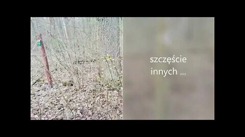 szczęście innych...