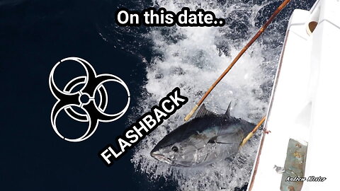 (59) 05/03/2019 - FLASHBACK "local" Bluefin Tuna!