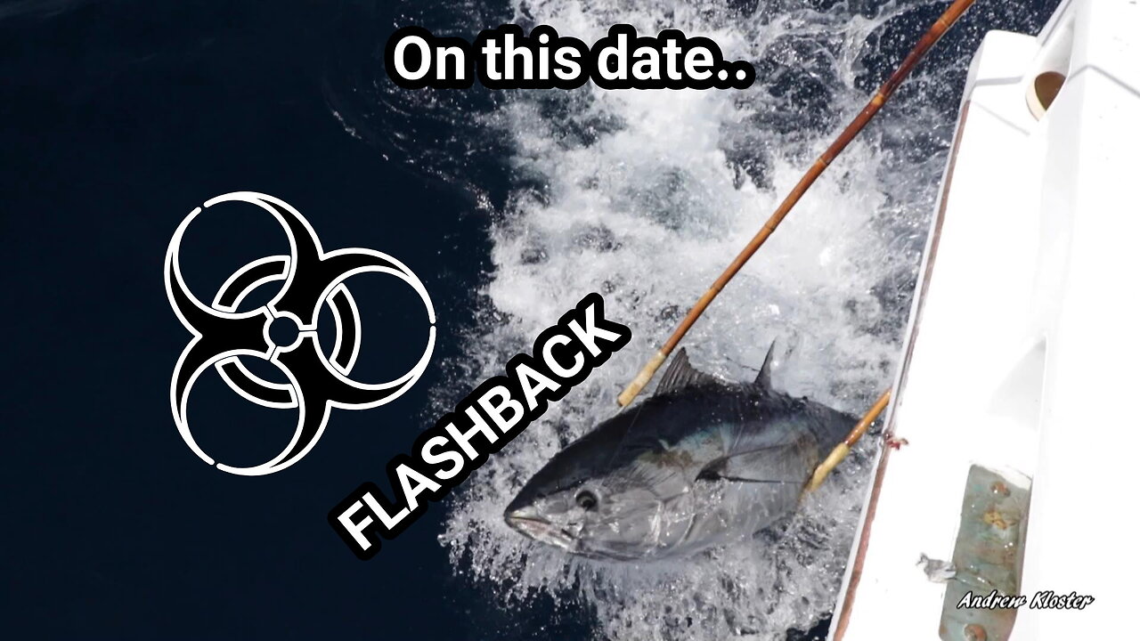 (59) 05/03/2019 - FLASHBACK "local" Bluefin Tuna!