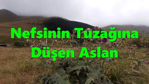 #menkıbe EN GÜZEL MENKIBELERDEN BİR BÖLÜM / "Nefsinin Tuzağına Düşen Aslan."