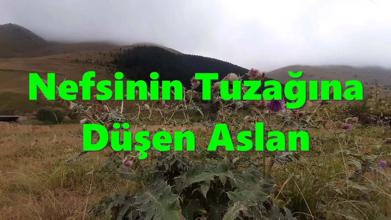 #menkıbe EN GÜZEL MENKIBELERDEN BİR BÖLÜM / "Nefsinin Tuzağına Düşen Aslan."