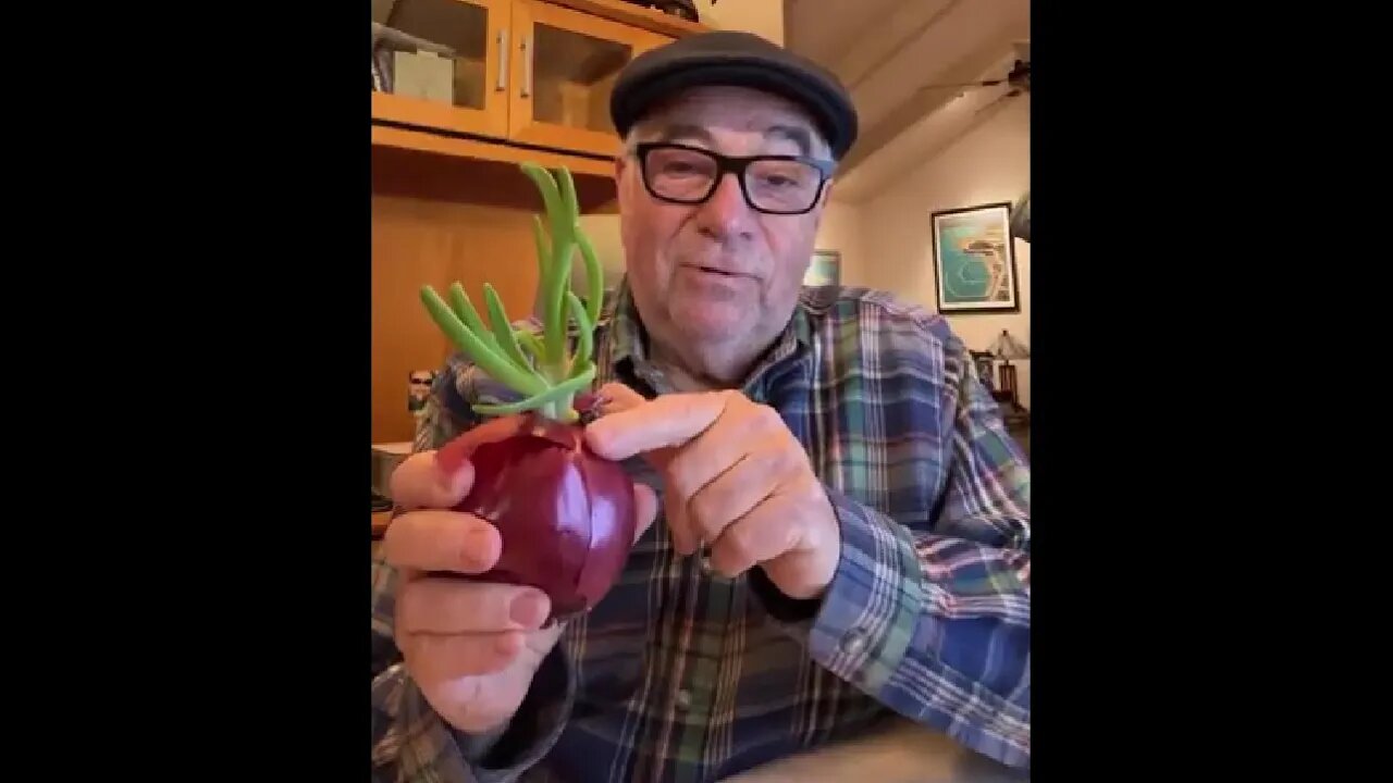 Why a sprouting onion is a good onion