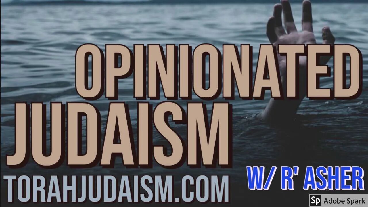 Opinionated Judaism