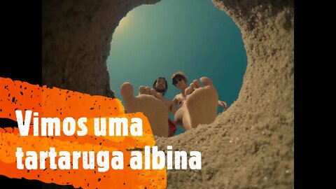 [UBATUBA] Dia 3 - Projeto Tamar e Ruinas Lagoinha