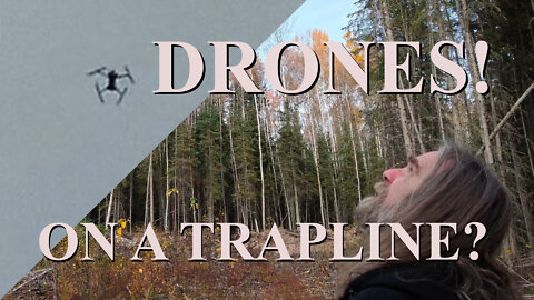 Drones! Useful On A Trapline?