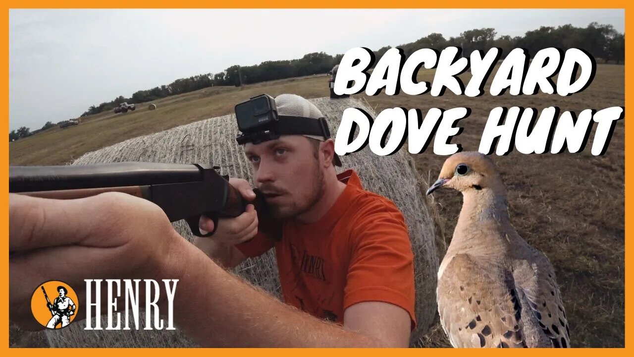 A Henry Dove Hunt | Ep 10 | Hunt with a Henry