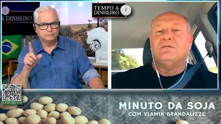 Cavalinho pode voltar para Soja