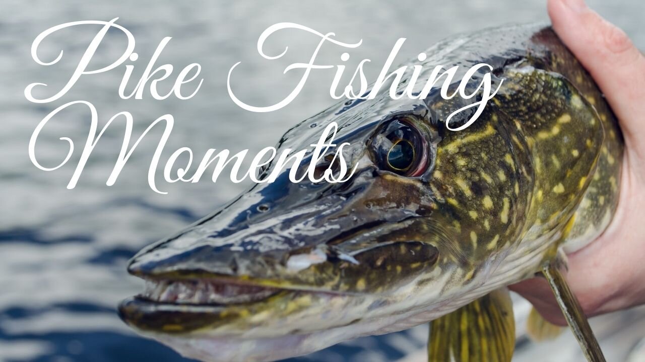 Pike Fishing Moments - How to Enjoy Pike Fishing in All Seasons