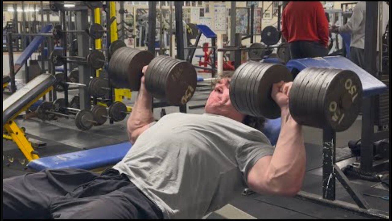 Winter Bulk Day 137 - UK Chest