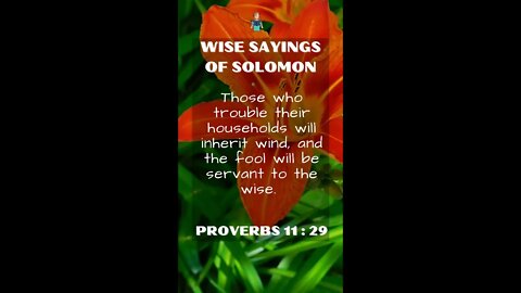 Proverbs 11:29 | Wise Sayings of Solomon