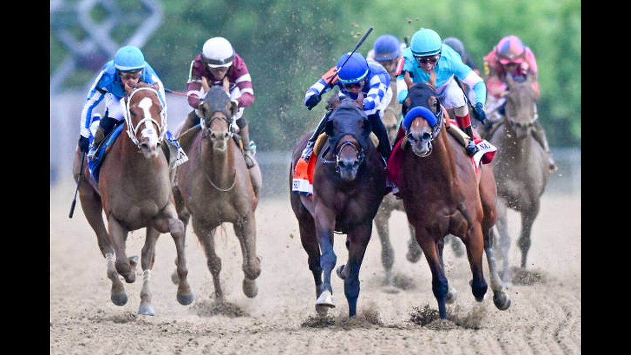 HORSE RACING TIPS AND PLAYS FOR SUNDAY MAY 28TH USA TRACKS TOP HANDICAPPERS